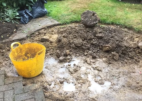 Garden before pond build